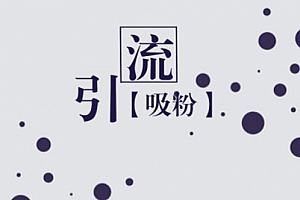 518网赚论坛：引流获客108招|实体店|营销案例（完结）